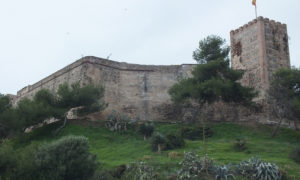 zamok-fujenhiroly